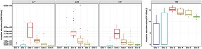 Corrigendum: The fate of sulfonamide resistance genes and anthropogenic pollution marker intI1 after discharge of wastewater into a pristine river stream